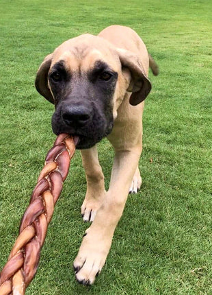 6" Braided Bully Sticks (10-Pack)