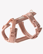 Powder Rose - Comfort Dog Harness