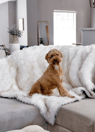 PupProtector™ Waterproof Throw Blanket - White with Brown Accents