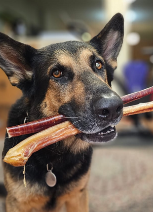 12 Inch Jumbo Bully Stick