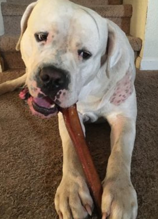 12 Inch Monster Bully Stick