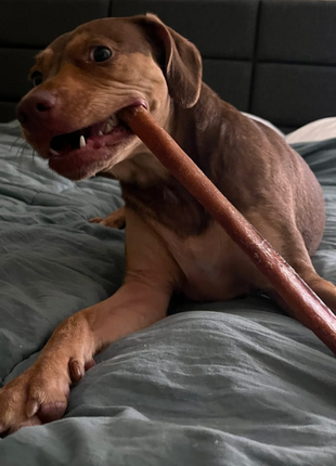 12 Inch Thick Bully Stick