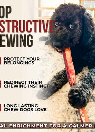 12 Inch Monster Bully Stick