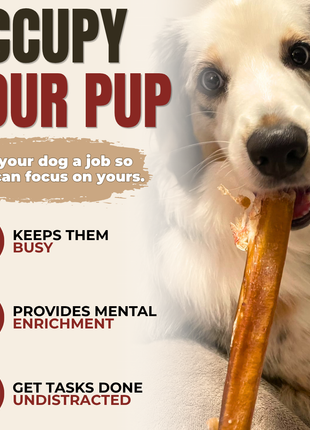 12 Inch Thick Bully Stick
