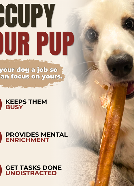12 Inch Thick Bully Stick