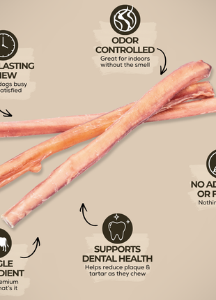 12 Inch Standard Bully Stick