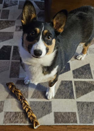 10-12 Inch Braided Collagen Stick