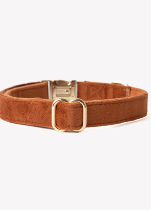 'Clay' - Velvet Dog Collar