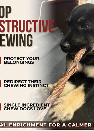 12 Inch Braided Jerky Stick