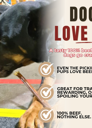 12 Inch Beef Jerky Stick