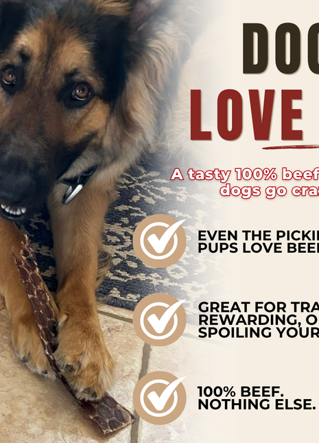 12 Inch Beef Jerky Strip