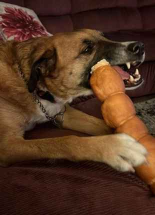 10-12 Inch Peanut Butter Cheek Roll