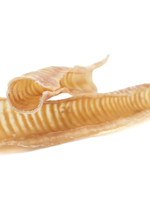 12 Inch Beef Trachea