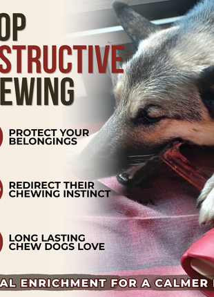 10-12 Inch Champion Chew