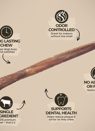 10-12 Inch Champion Chew