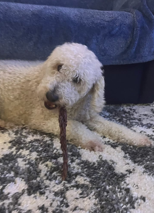12 Inch Braided Jerky Stick