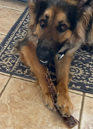 12 Inch Beef Jerky Strip