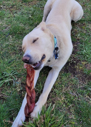 12 Inch Jumbo Braided Bully Stick