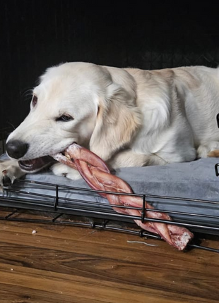 12 Inch Monster Braided Bully Stick