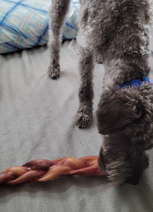 12 Inch Monster Braided Bully Stick