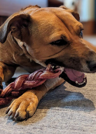 12 Inch Monster Braided Bully Stick