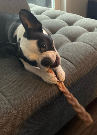 12 Inch Standard Braided Bully Stick