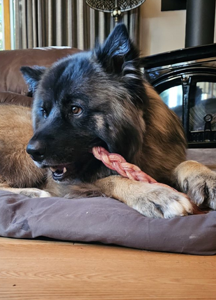 12 Inch Thick Braided Bully Stick