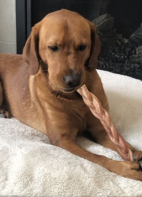 12 Inch Thick Braided Bully Stick