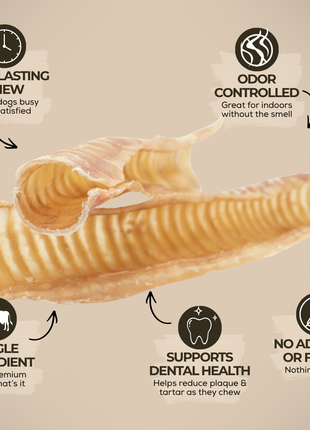 12 Inch Beef Trachea