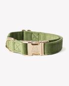 'Green' - Velvet Dog Collar
