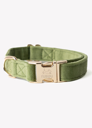 'Green' - Velvet Dog Collar