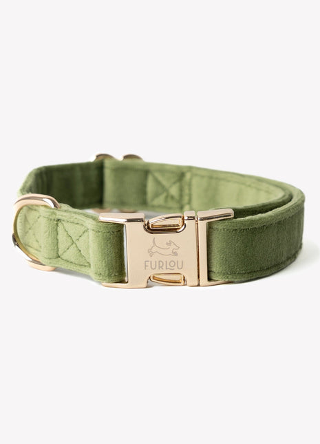 'Green' - Velvet Dog Collar