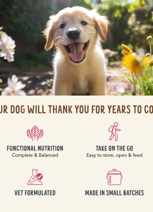 Broth-Licious Variety Pack for Adult Dogs