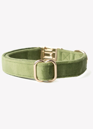'Green' - Velvet Dog Collar