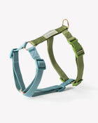 Blue and Green - Dog Harness