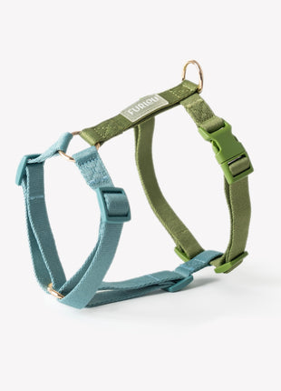 Blue and Green - Dog Harness
