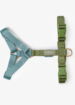 Blue and Green - Dog Harness