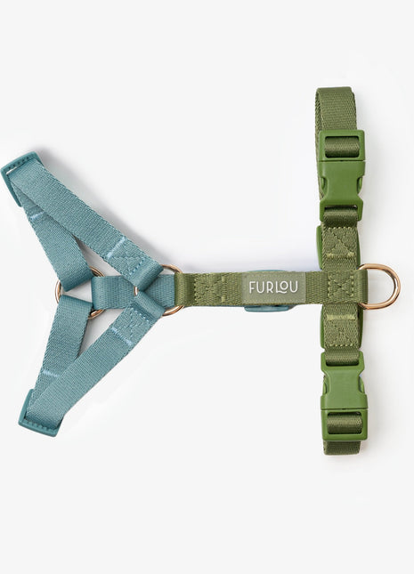 Blue and Green - Dog Harness