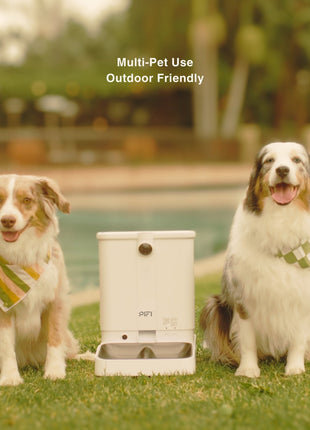 All-in-One Smart Pet Feeder