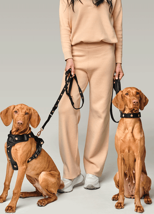 3-in-1 City Dog Leash - Rockstar - Pup List