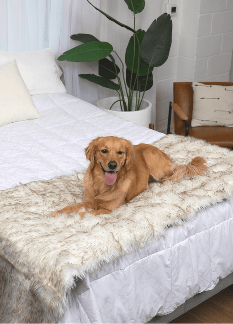 PupProtector™ Waterproof Bed Runner - White with Brown Accents