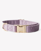 'Lilac' - Velvet Dog Collar