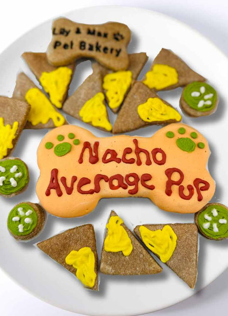 Nacho Average Pup