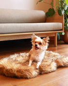 PupRug by Paw.com® Faux Fur Orthopedic Dog Bed - Curve Sable Tan