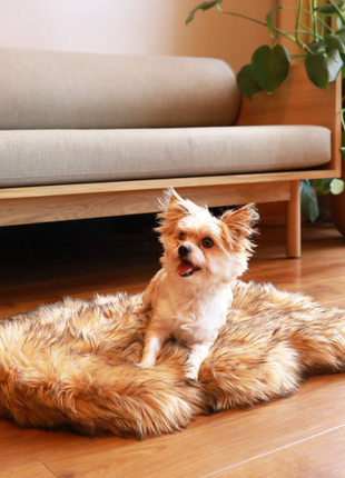 PupRug by Paw.com® Faux Fur Orthopedic Dog Bed - Curve Sable Tan