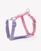 Lavender and Pink - Dog Harness