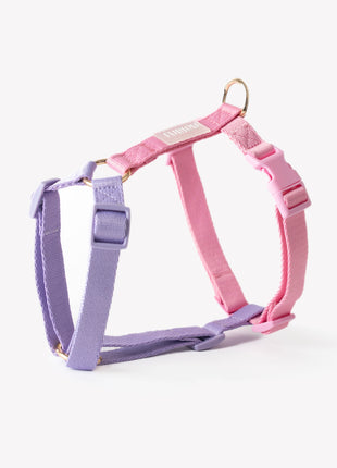 Lavender and Pink - Dog Harness