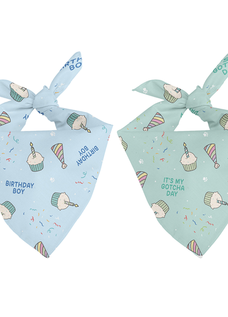 Birthday Boy & Gotcha Day Dog Bandana