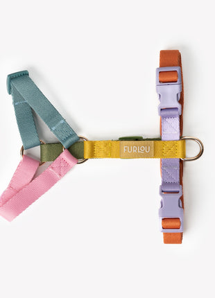 Rainbow - Dog Harness