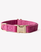 'Magenta' - Velvet Dog Collar